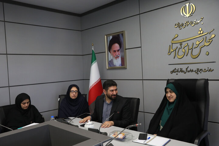 حضور رئیس فراکسیون محیط زیست در اولین نشست کمیته HSE