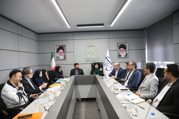 حضور رئیس فراکسیون محیط زیست در اولین نشست کمیته HSE