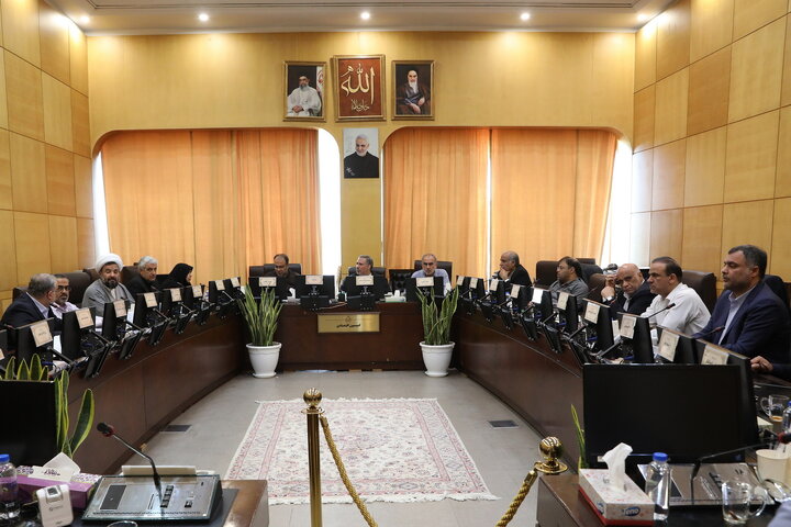 جلسه کمیسیون اقتصادی مجلس شورای اسلامی