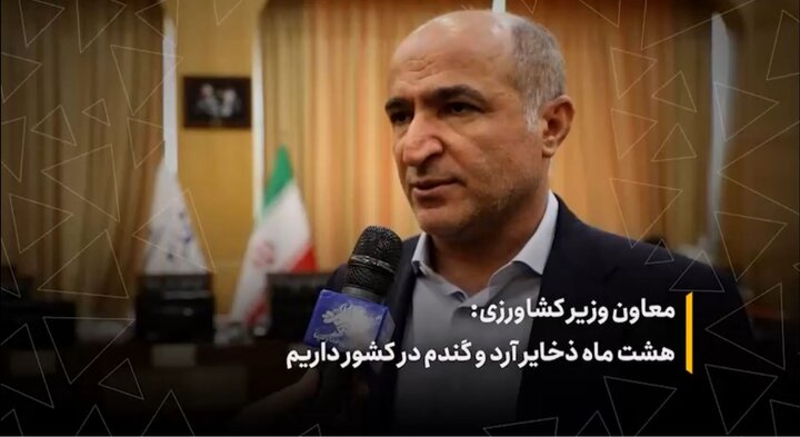 هشت ماه ذخایر آرد و گندم در کشور داریم