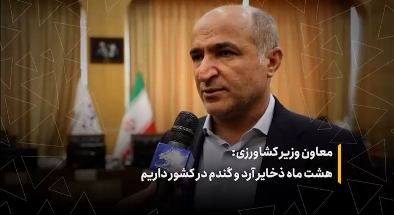 هشت ماه ذخایر آرد و گندم در کشور داریم