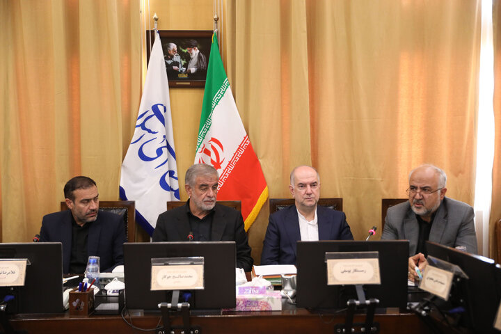 نشست اعضای کمیسیون امور داخلی کشور و شوراها
