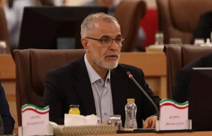 ایران خواستار تشکیل کارگروه مشترک برای تسهیل سفر اربعین شد