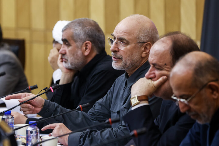 جلسه شورای هماهنگی مجلس شورای اسلامی