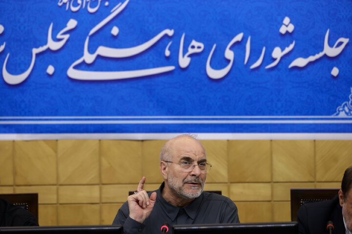 جلسه شورای هماهنگی مجلس شورای اسلامی