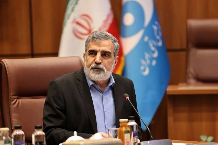 صنعت هسته‌ای در کشور ما ریشه دارد/ این صنعت دوباره شکوفا می‌شود