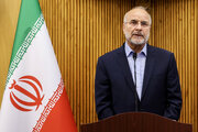 در سفر به ژنو انجام وظایف سازمان ملل در برخورد با جنایات رژیم صهیونی علیه ایران و غزه را مطالبه می کنیم/ نشست با ایرانیان خارج از کشور در راستای تقویت انسجام ملی