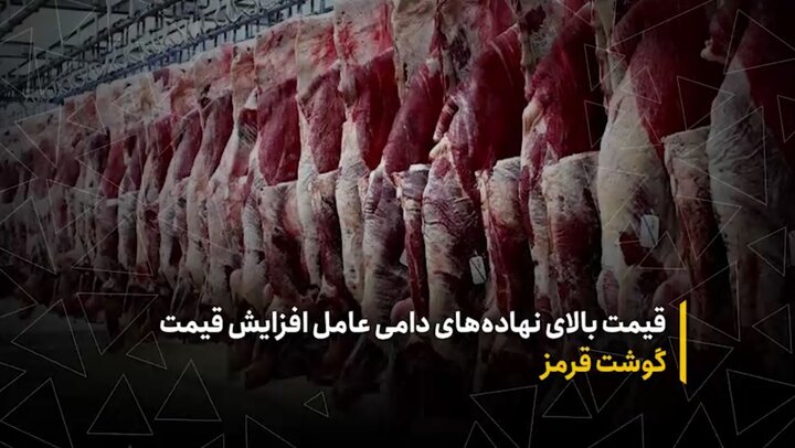 قیمت بالای نهاده‌های دامی عامل افزایش قیمت گوشت قرمز