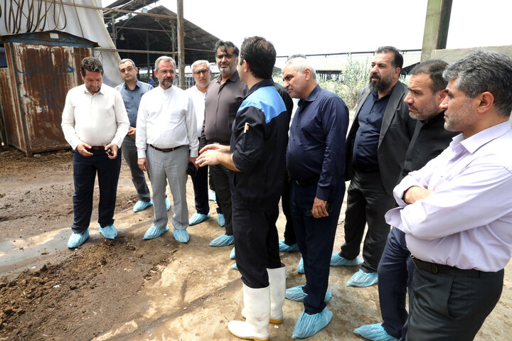 گزارش تصویری بازدید اعضای فراکسیون کشاورزی از بزرگترین مرکز پرورش گاو شیری بخش خصوصی کشور