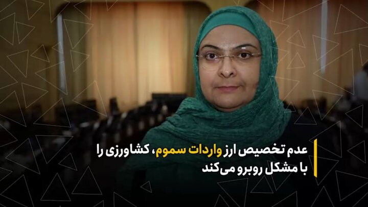 عدم تخصیص ارز واردات سموم، کشاورزی را با مشکل روبرو می‌کند