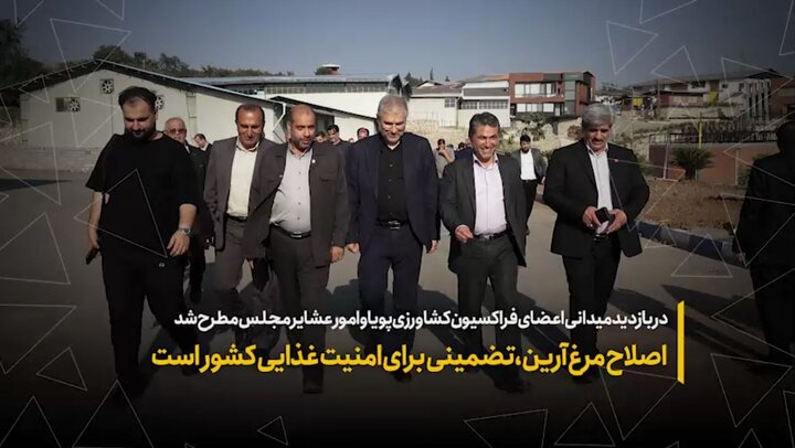 اصلاح مرغ آرین، تضمینی برای امنیت غذایی کشور است