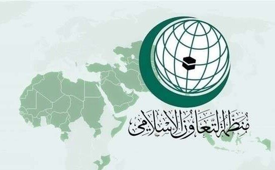 لزوم بهره‌گیری سازمان همکاری اسلامی از ابزارهای دیپلماتیک برای پایان دادن به تجاوزگری در غزه