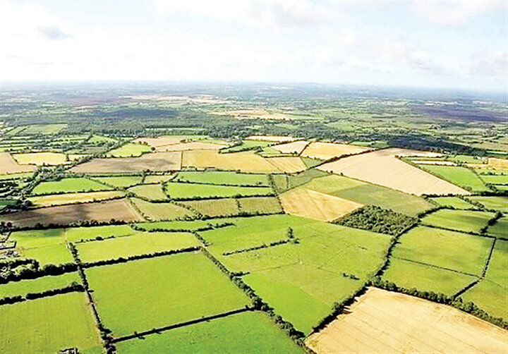 تغییر کاربری اراضی کشاورزی استان‌های شمالی، تهدیدی برای امنیت غذایی/ نگاه ویژه به اقتصاد کشاورزی و ظرفیت‌های موجود؛ راهکار جلوگیری از این بحران