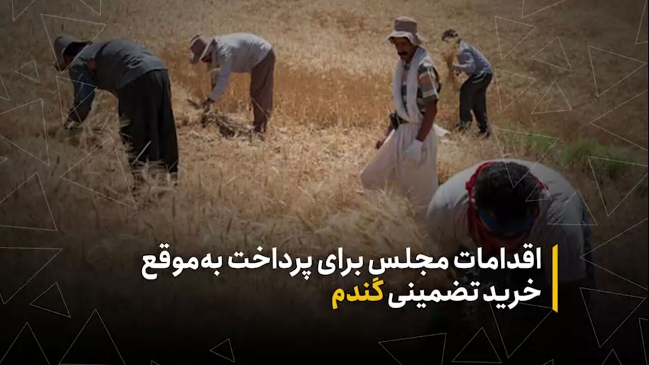 اقدامات مجلس برای پرداخت به‌موقع مطالبات گندمکاران