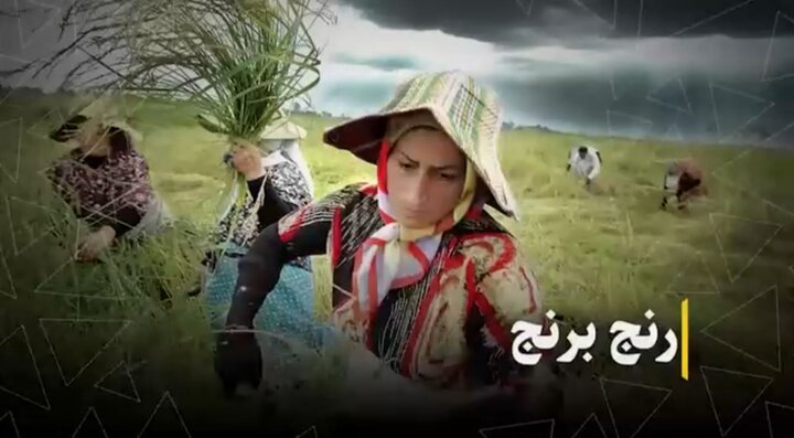 رنج برنج