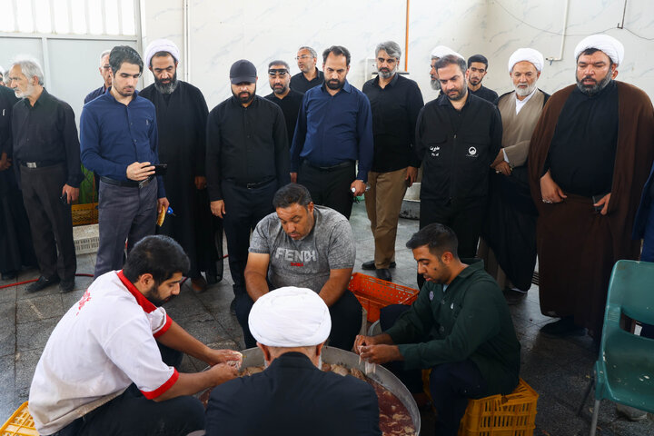 حضور اعضای کمیسیون اصل ۹۰ و فراکسیون قرآن و زیارت مجلس در مسیر پیاده‌روی زائران حرم رضوی