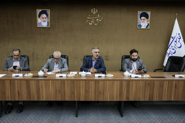 نشست کمیته تشکل‌ها و مشارکت‌های اجتماعی با سازمان‌های مردم نهاد حقوق بشری