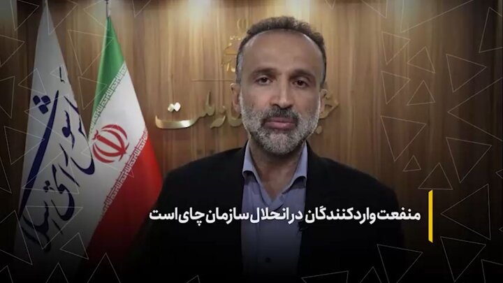 منفعت واردکنندگان در انحلال سازمان چای است