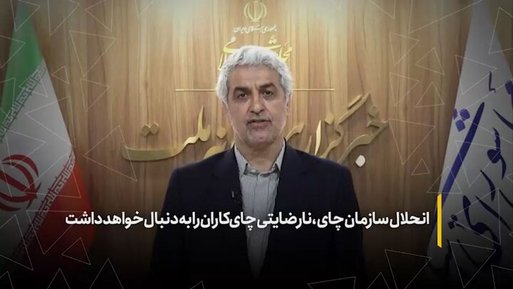 انحلال سازمان چای، نارضایتی چای‌کاران را به دنبال خواهد داشت
