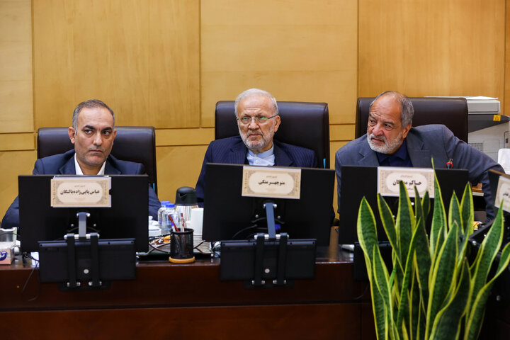 نشست کمیسیون اقتصاد مجلس با حضور وزیر اقتصاد