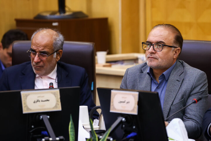 نشست کمیسیون اقتصاد مجلس با حضور وزیر اقتصاد