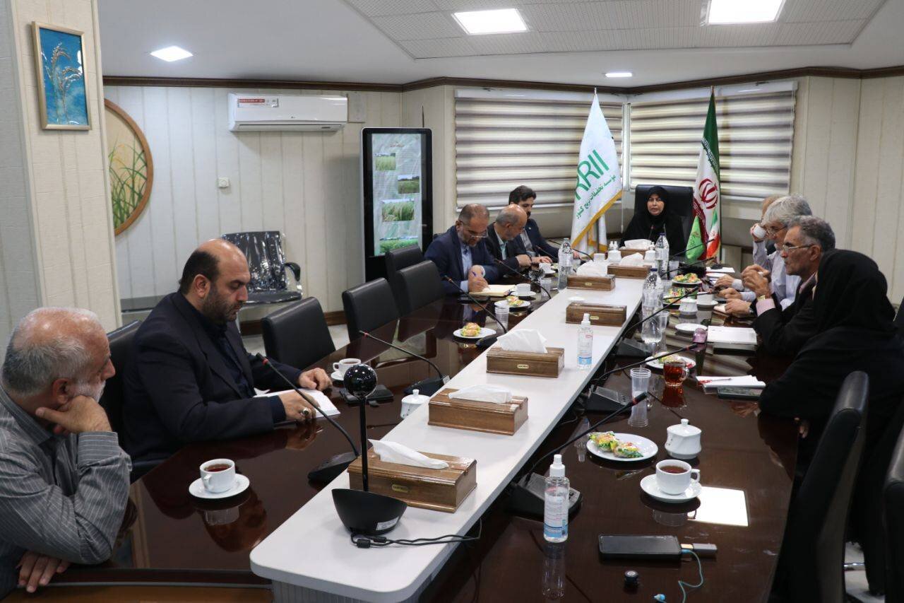 دیدار نماینده رشت با مدیر موسسه تحقیقات برنج کشور/فلاح: اقتصاد ایران در محاصره دلالی و انحصار/ ثروت ۵۰ تریلیون دلاری منابع زیرسطحی در گرو اصلاح ساختارها