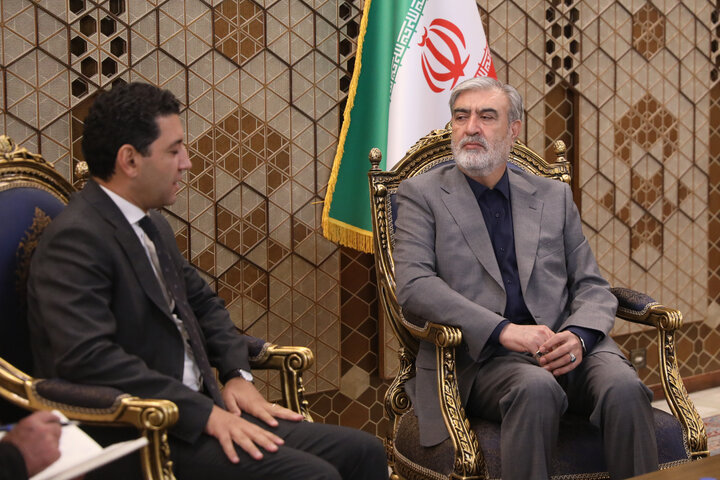 دیدار سفیر ارمنستان با رئیس کمیسیون امنیت ملی وسیاست خارجی مجلس