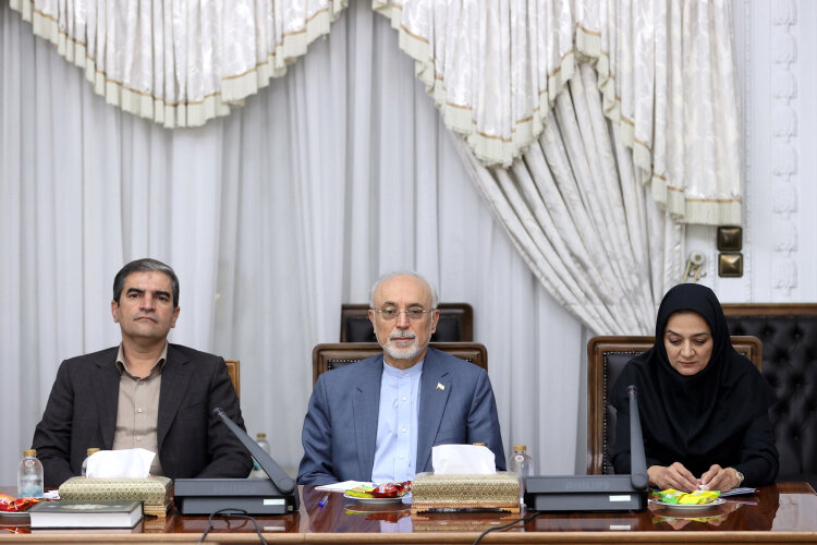 تأکید رئیس‌جمهور بر تدوین آیین‌نامه‌های سند جامع استاندارد با تعامل مجلس