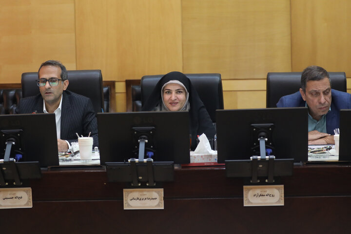 نشست کمیسیون انرژی با شرکت ملی صنایع پتروشیمی ایران