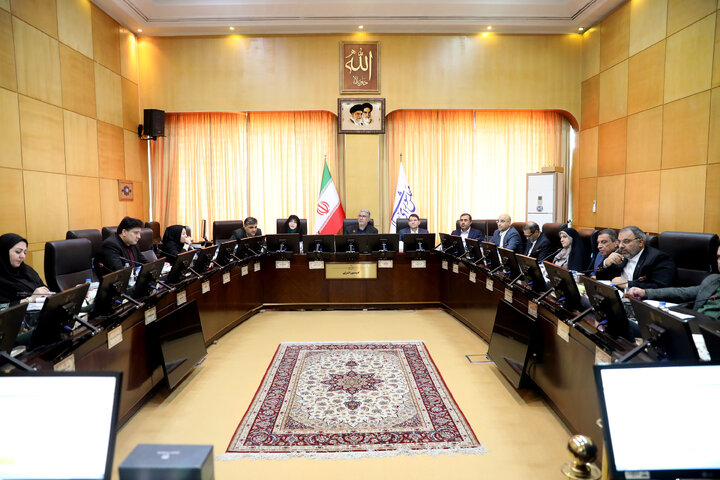 نشست کمیسیون انرژی با شرکت ملی صنایع پتروشیمی ایران