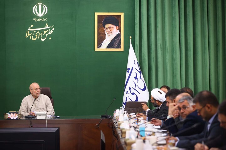نشست شورای هماهنگی مجلس شورای اسلامی