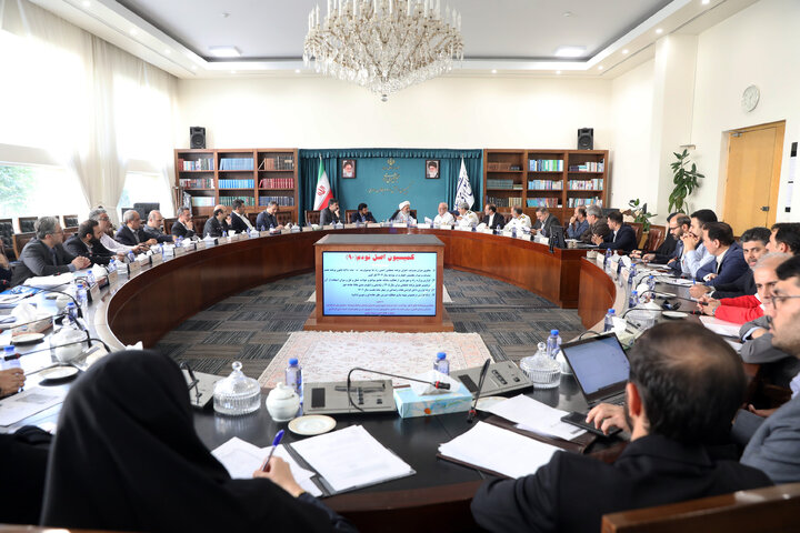 نشست کمیسیون اصل نود بامعاونین وزارت دولت