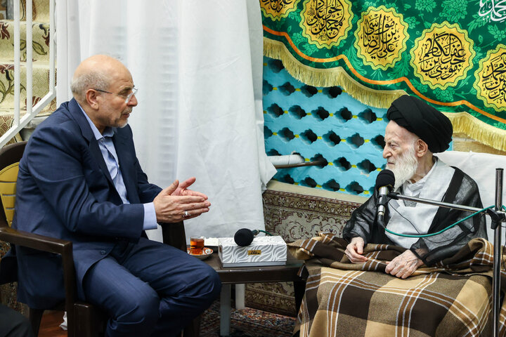 دیدار دکتر قالیباف و آیت‌الله شبیری زنجانی