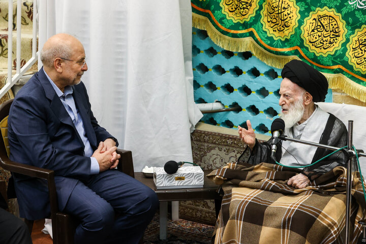 دیدار دکتر قالیباف و آیت‌الله شبیری زنجانی