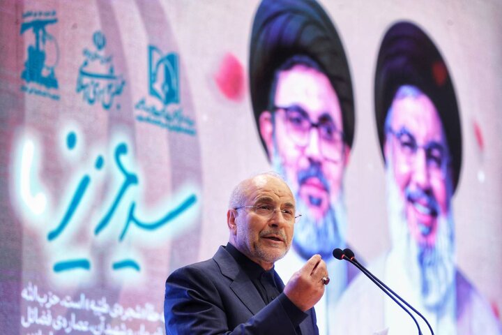 حزب الله، در خون، رگ و قلب مردم است/ سیدحسن نصرالله و سیدهاشم صفی‌الدین تربیت‌شده حوزه علمیه قم هستند