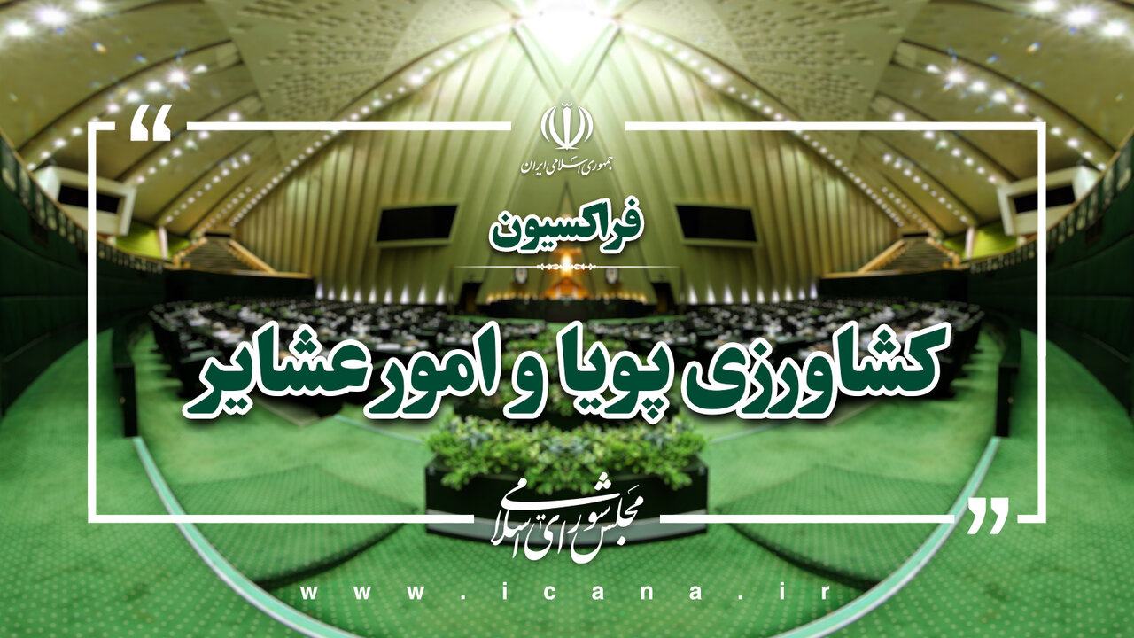 سکوت سازمان‌های بین‌المللی در قبال تجاوز به سازمان منابع طبیعی، اعتبار آن‌ها را کاهش می‌دهد