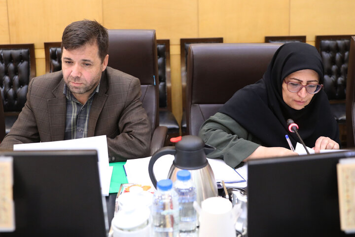 نشست کارگروه دیپلماسی اقتصادی