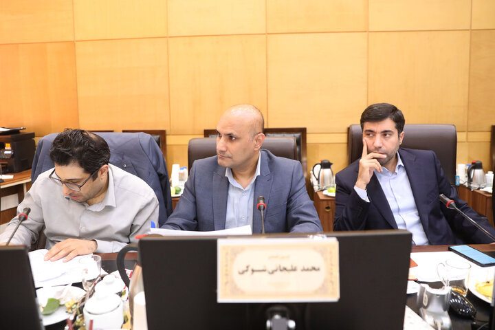 نشست کارگروه دیپلماسی اقتصادی