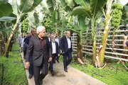 بازدید اعضای کمیسیون آموزش مجلس از شرکت دانش‌بنیان تولیدکننده محصولات کشاورزی