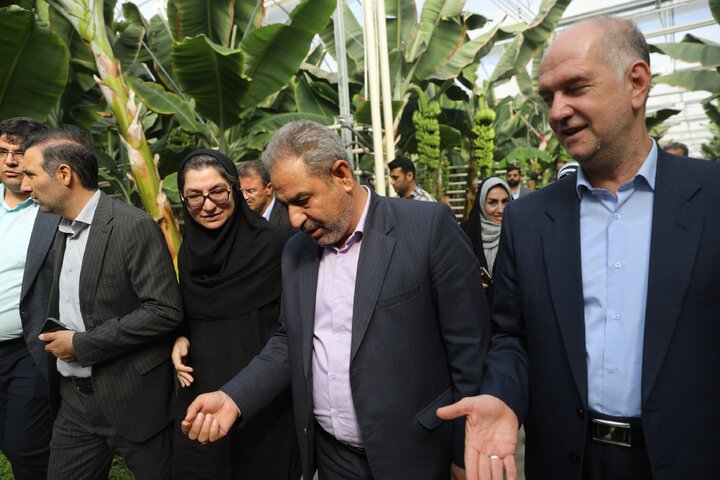 بازدید اعضای کمیسیون آموزش مجلس از شرکت دانش‌بنیان تولیدکننده محصولات کشاورزی