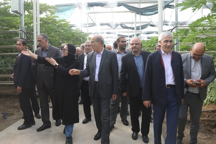 بازدید اعضای کمیسیون آموزش مجلس از شرکت دانش‌بنیان تولیدکننده محصولات کشاورزی