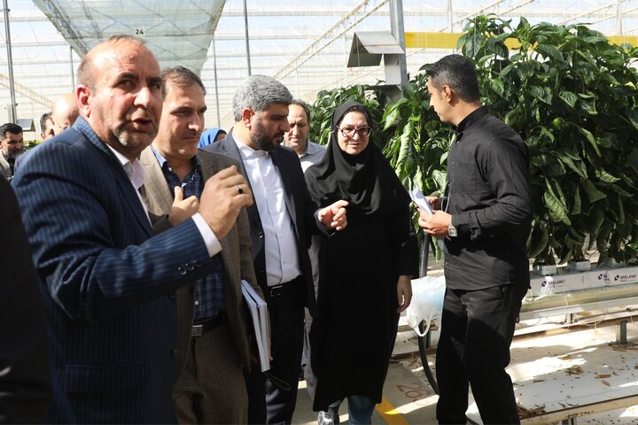 بازدید اعضای کمیسیون آموزش مجلس از شرکت دانش‌بنیان تولیدکننده محصولات کشاورزی