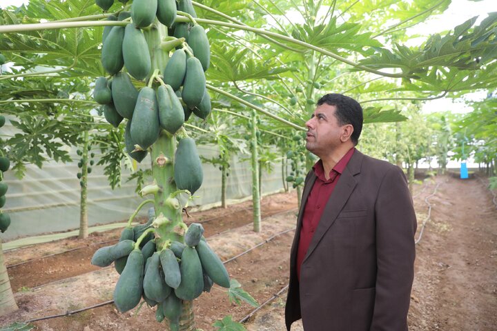 بازدید اعضای کمیسیون آموزش مجلس از شرکت دانش‌بنیان تولیدکننده محصولات کشاورزی