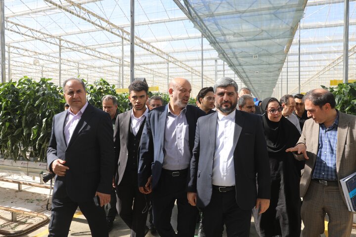 بازدید اعضای کمیسیون آموزش مجلس از شرکت دانش‌بنیان تولیدکننده محصولات کشاورزی