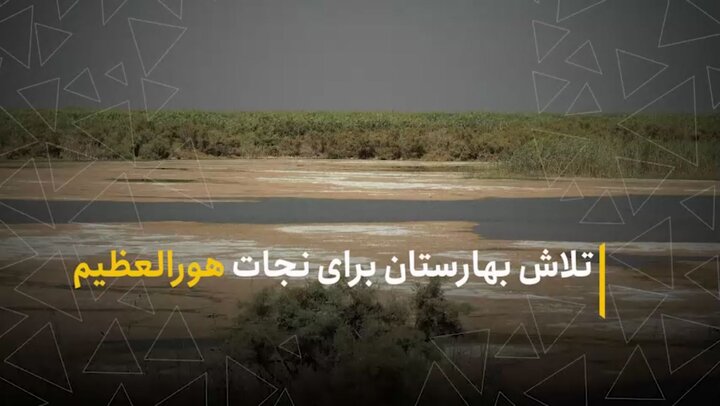 تلاش بهارستان برای نجات هورالعظیم