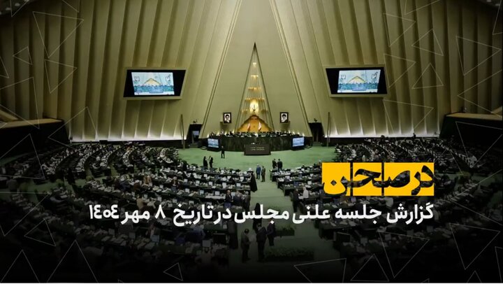 در صحن؛ پرونده واردات نهاده‌های دامی روی میز تفحص مجلس