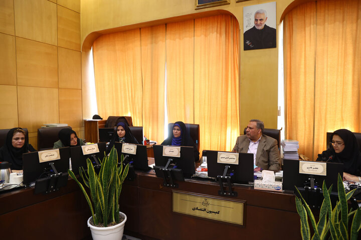 نشست مشترک کمیسیون اقتصادی و فراکسیون بانوان با بانوان فعال در حوزه اقتصاد و تولید