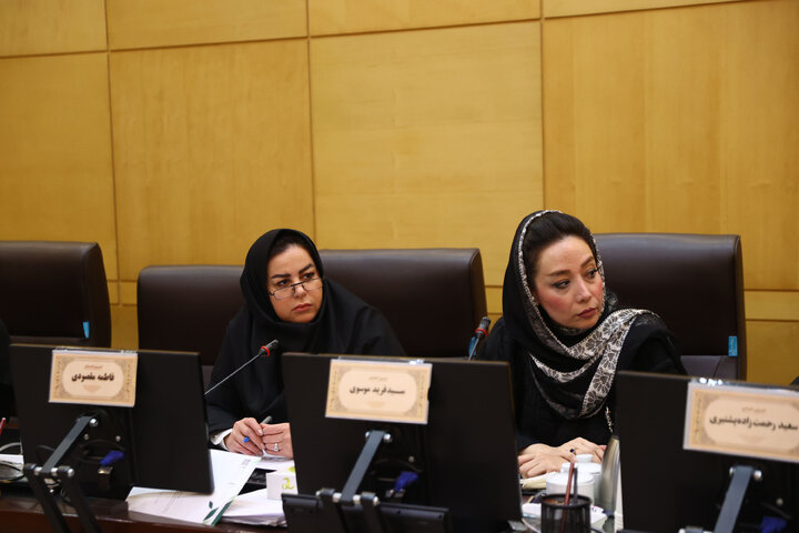 نشست مشترک کمیسیون اقتصادی و فراکسیون بانوان با بانوان فعال در حوزه اقتصاد و تولید