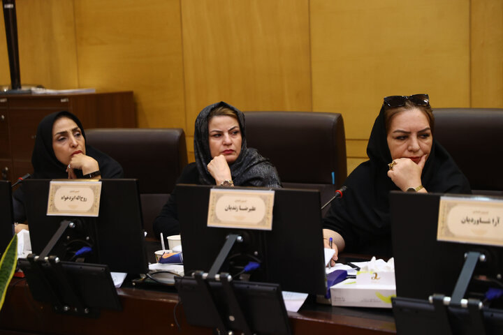 نشست مشترک کمیسیون اقتصادی و فراکسیون بانوان با بانوان فعال در حوزه اقتصاد و تولید