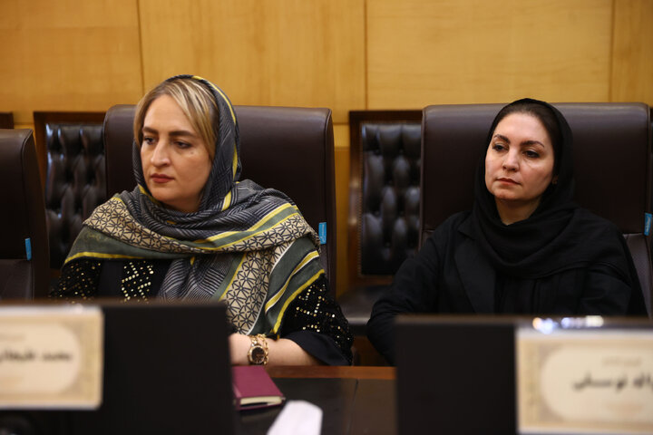 نشست مشترک کمیسیون اقتصادی و فراکسیون بانوان با بانوان فعال در حوزه اقتصاد و تولید